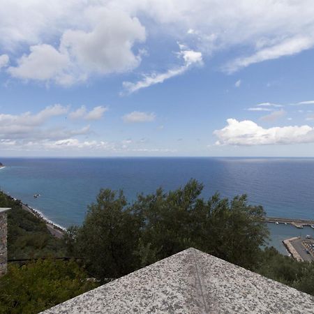 Villa Degli Ulivi B&B ฟีนาเลลีกูเร ห้อง รูปภาพ