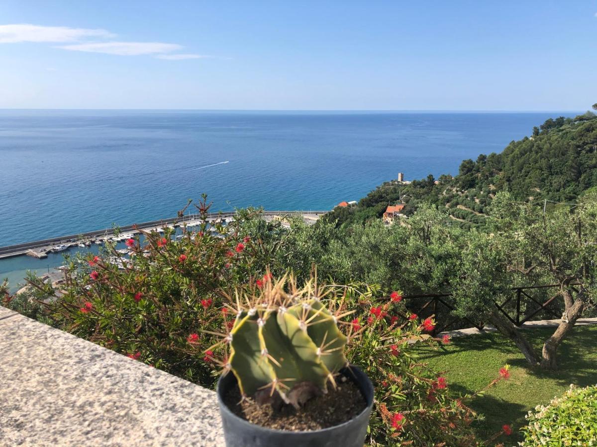 Villa Degli Ulivi B&B ฟีนาเลลีกูเร ภายนอก รูปภาพ