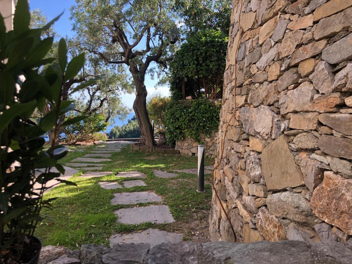 Villa Degli Ulivi B&B ฟีนาเลลีกูเร ภายนอก รูปภาพ