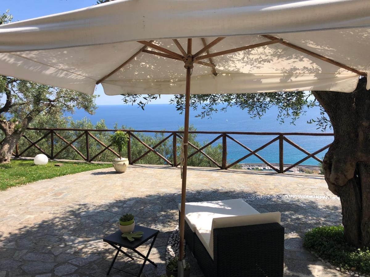 Villa Degli Ulivi B&B ฟีนาเลลีกูเร ภายนอก รูปภาพ