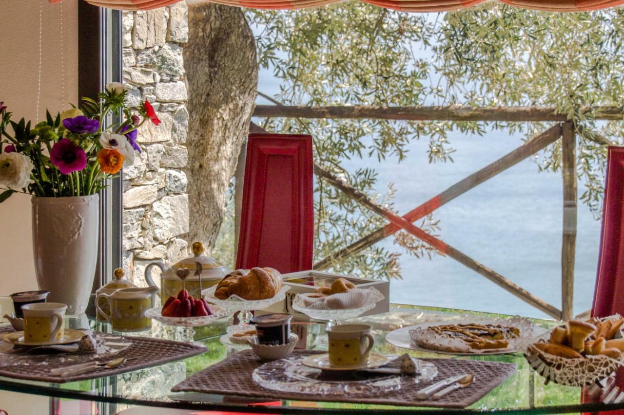 Villa Degli Ulivi B&B ฟีนาเลลีกูเร ภายนอก รูปภาพ